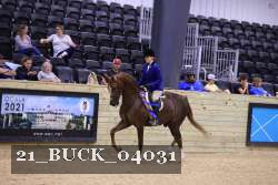 21_BUCK_04031 proof