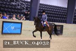 21_BUCK_04032 proof