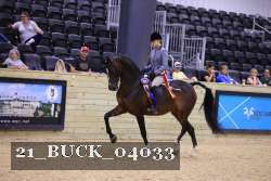 21_BUCK_04033 proof