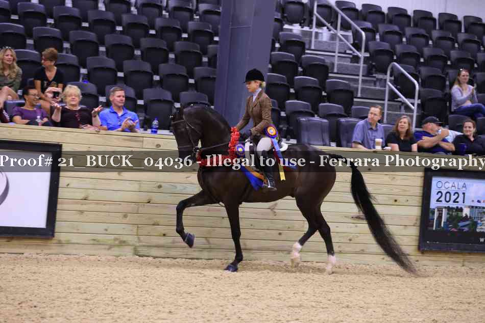 Proof 21_BUCK_04036