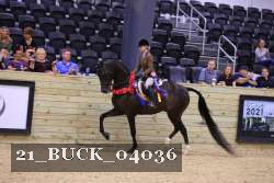 21_BUCK_04036 proof