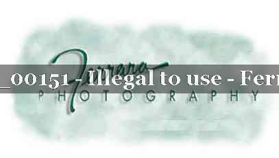 Proof 21_BUCK_00151
