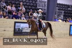 21_BUCK_04057 proof