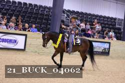 21_BUCK_04062 proof