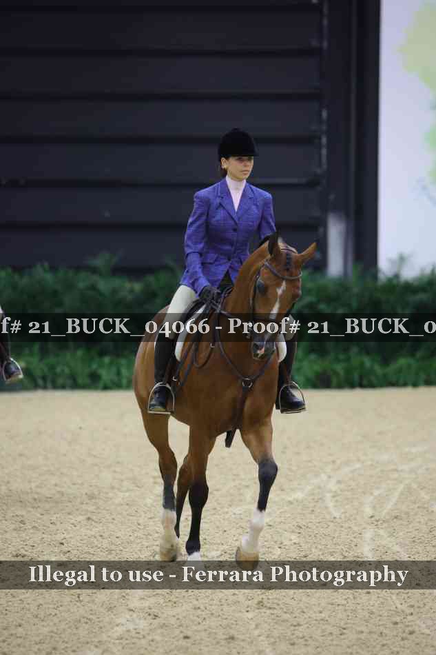 Proof 21_BUCK_04066