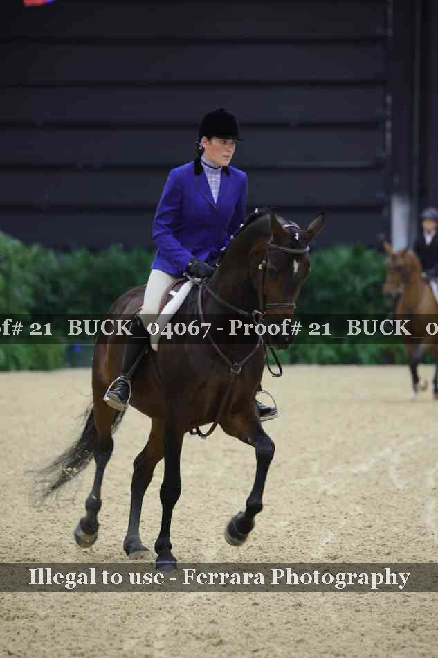Proof 21_BUCK_04067