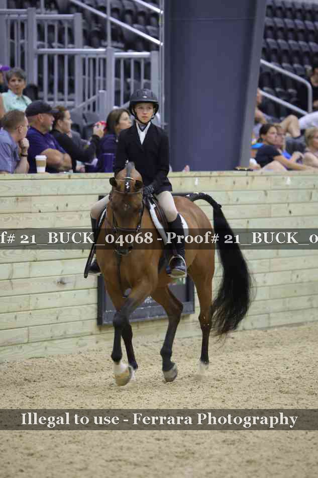 Proof 21_BUCK_04068