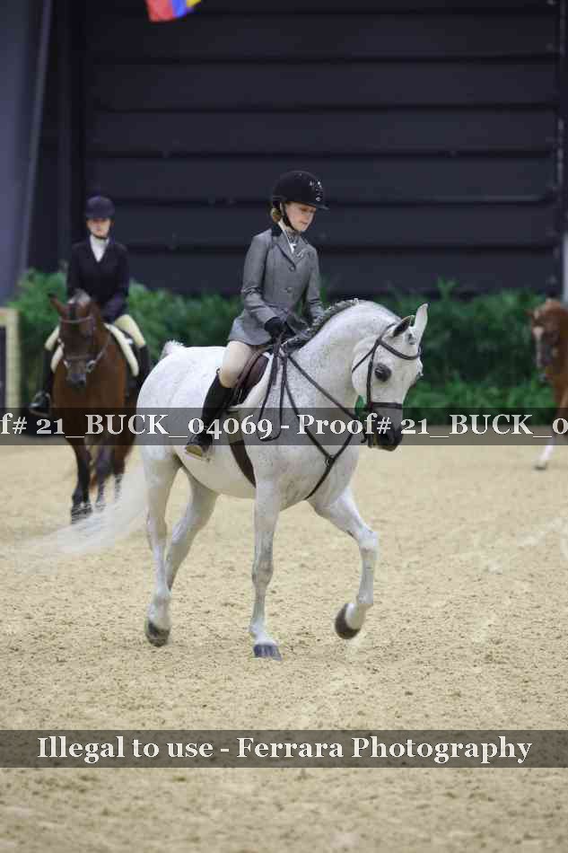 Proof 21_BUCK_04069