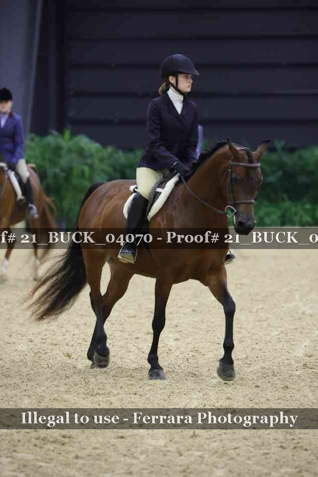 Proof 21_BUCK_04070