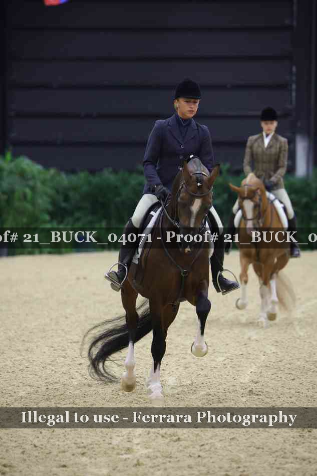 Proof 21_BUCK_04071