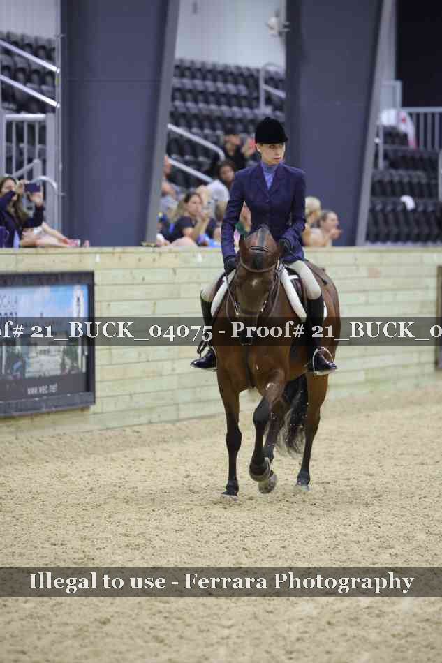 Proof 21_BUCK_04075