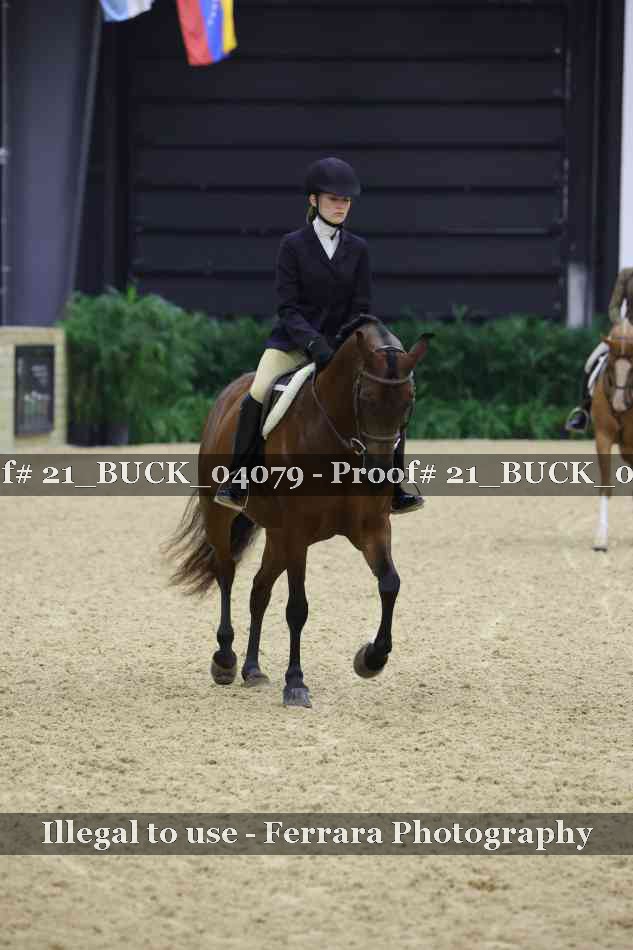 Proof 21_BUCK_04079