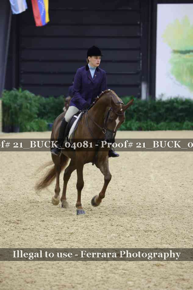 Proof 21_BUCK_04081