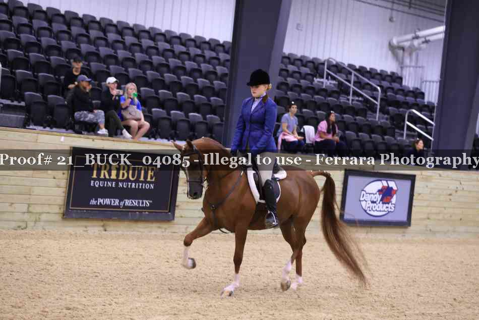 Proof 21_BUCK_04085