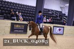 21_BUCK_04085 proof