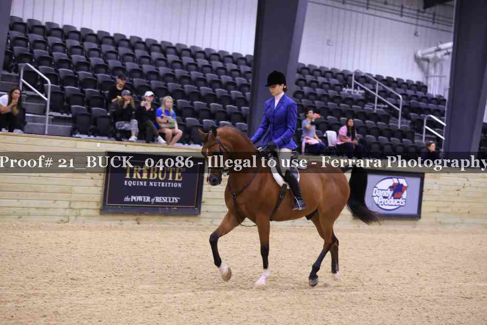 Proof 21_BUCK_04086