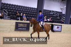 21_BUCK_04086 proof