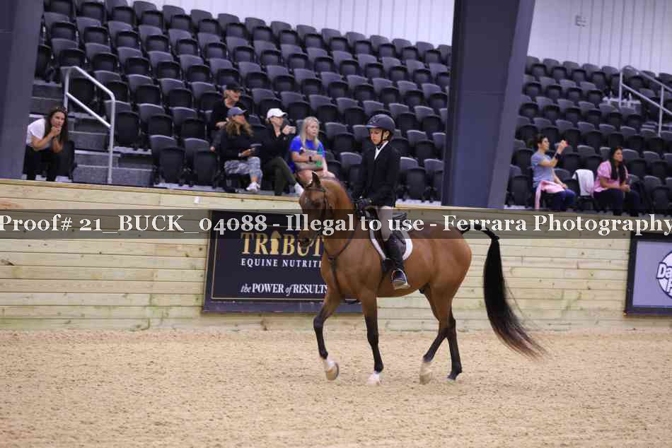 Proof 21_BUCK_04088