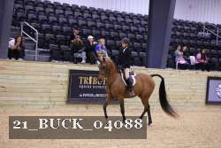 21_BUCK_04088 proof