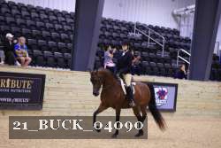 21_BUCK_04090 proof