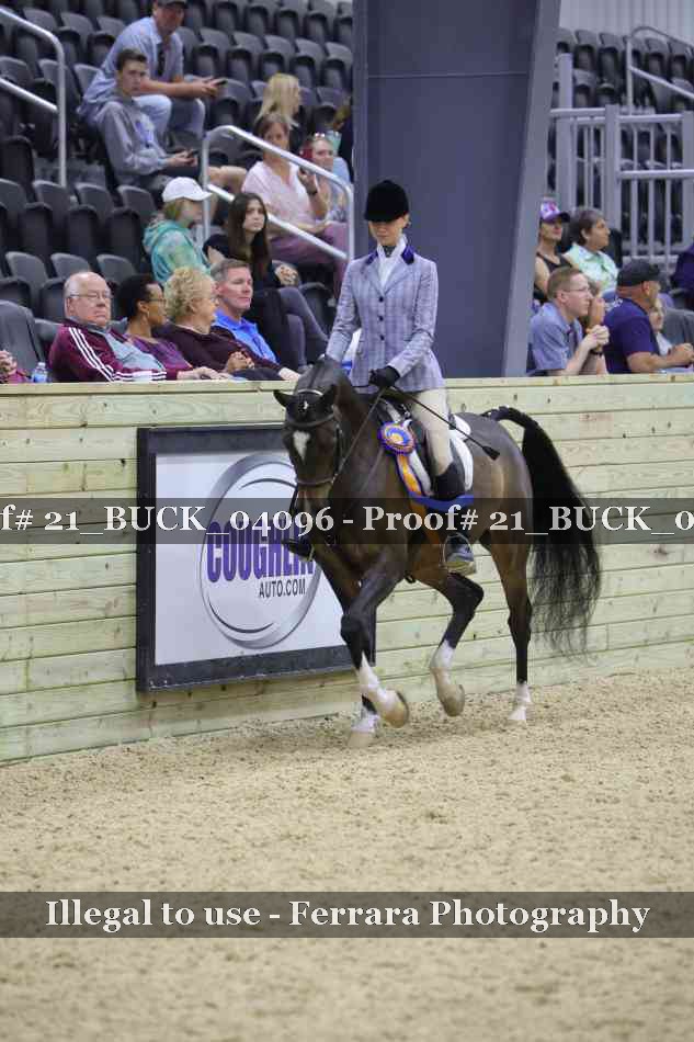 Proof 21_BUCK_04096