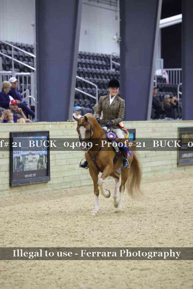 Proof 21_BUCK_04099