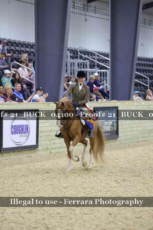 Proof 21_BUCK_04100