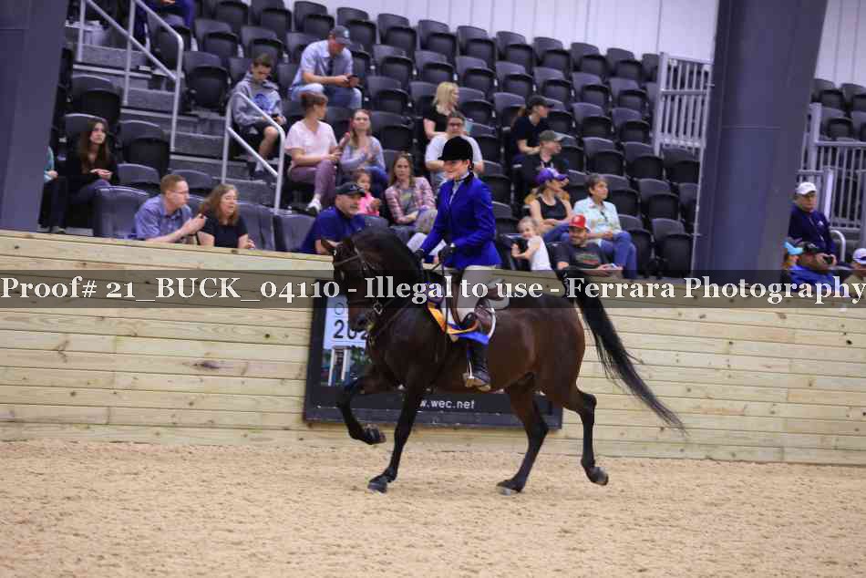 Proof 21_BUCK_04110