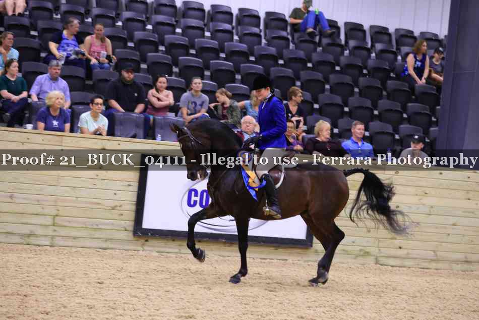 Proof 21_BUCK_04111