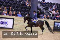 21_BUCK_04112 proof