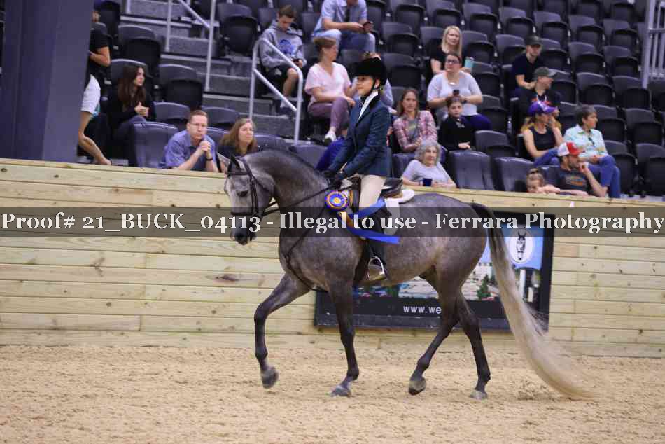 Proof 21_BUCK_04113