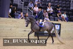 21_BUCK_04113 proof