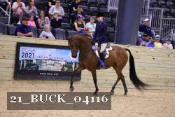 21_BUCK_04116 proof