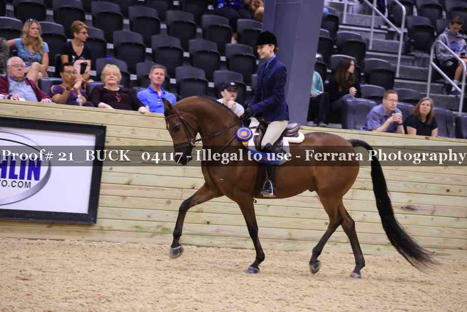 Proof 21_BUCK_04117