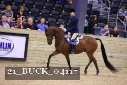 21_BUCK_04117 proof