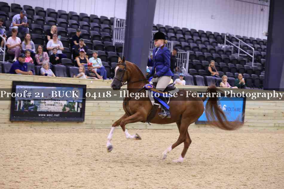 Proof 21_BUCK_04118