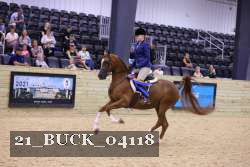 21_BUCK_04118 proof