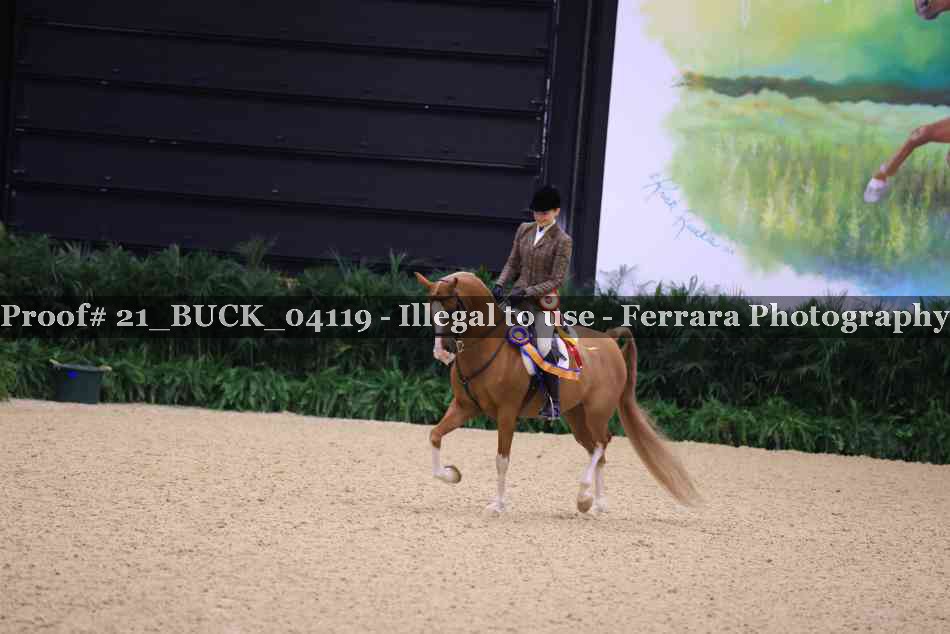Proof 21_BUCK_04119