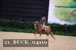 21_BUCK_04119 proof