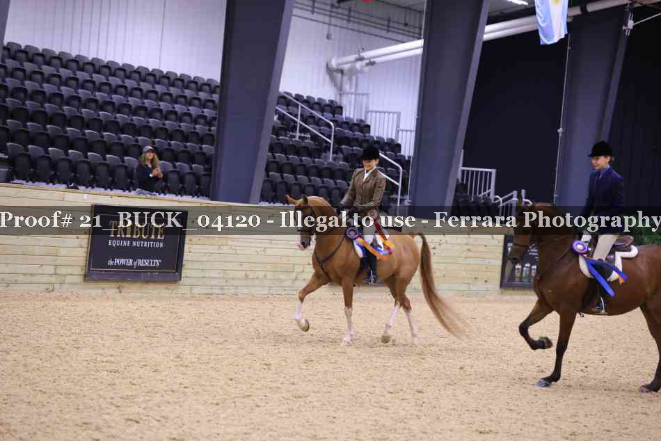 Proof 21_BUCK_04120