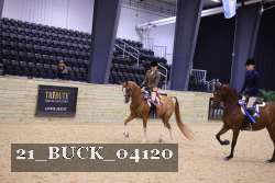 21_BUCK_04120 proof