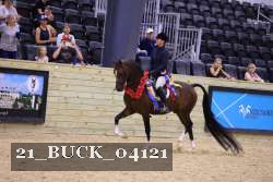 21_BUCK_04121 proof