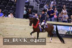 21_BUCK_04122 proof