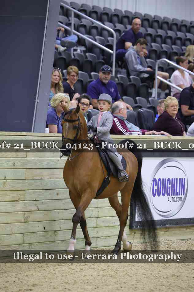Proof 21_BUCK_04123