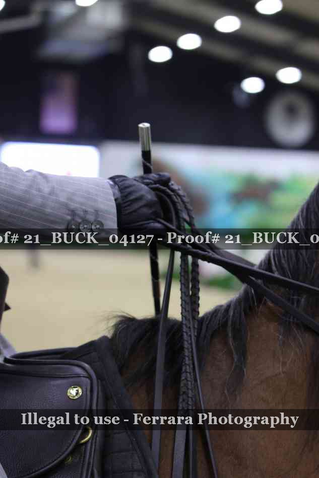 Proof 21_BUCK_04127
