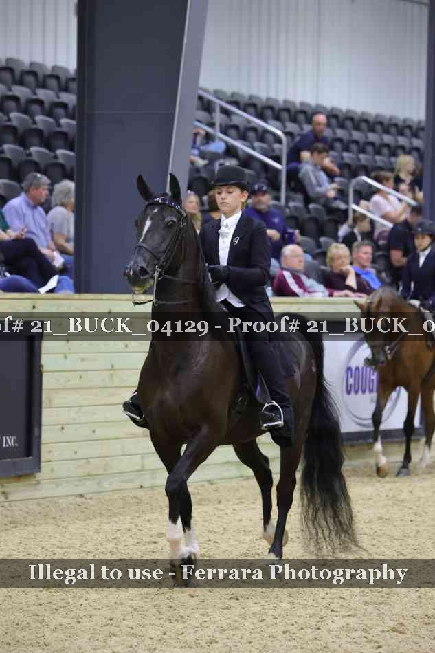 Proof 21_BUCK_04129
