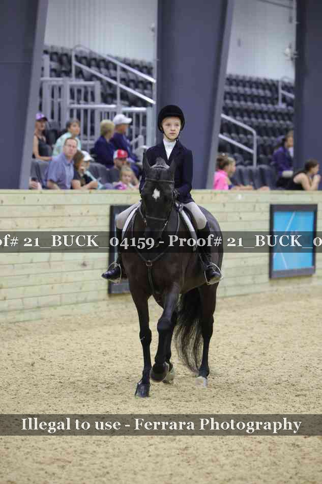 Proof 21_BUCK_04159