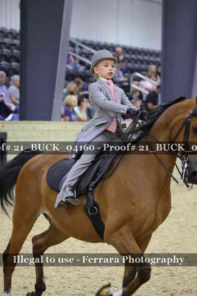 Proof 21_BUCK_04160