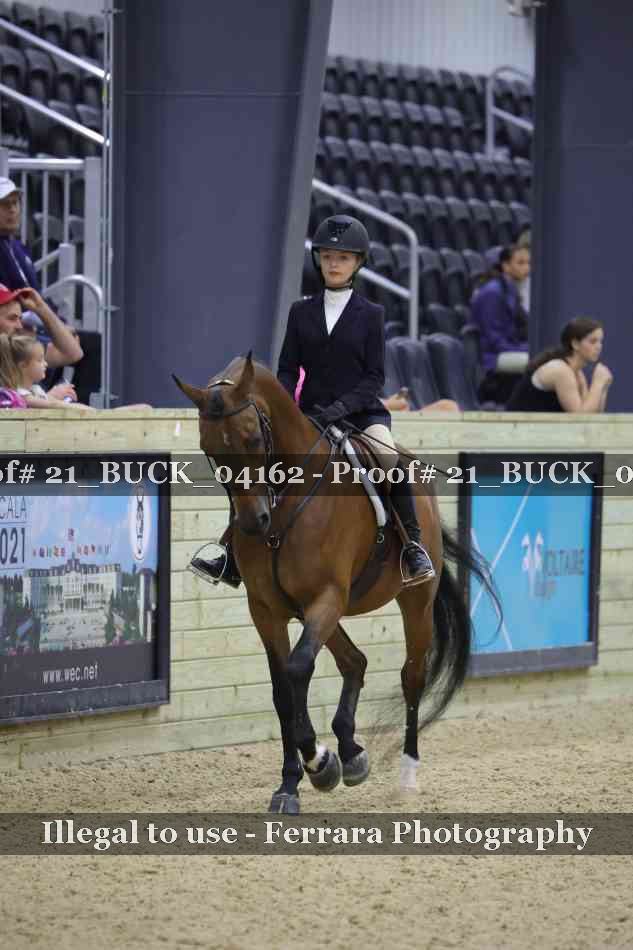 Proof 21_BUCK_04162