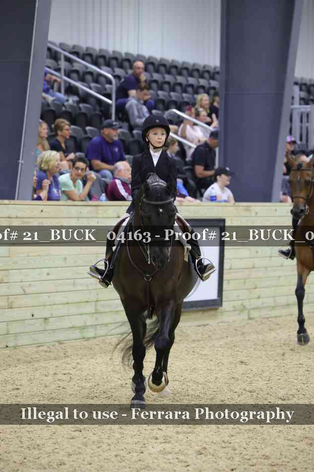 Proof 21_BUCK_04163
